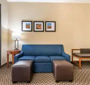 Comfort Suites Manhattan hotel detail image 7