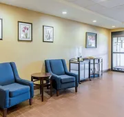 Comfort Suites Wytheville near Conference Center hotel detail image 3