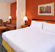 Holiday Inn Express & Suites Alamosa by IHG hotel detail image 5