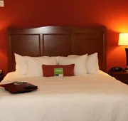 Hampton Inn & Suites Bastrop hotel detail image 4