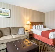 Quality Hotel hotel detail image 7
