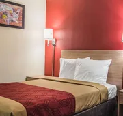 Econo Lodge Fort Payne hotel detail image 5