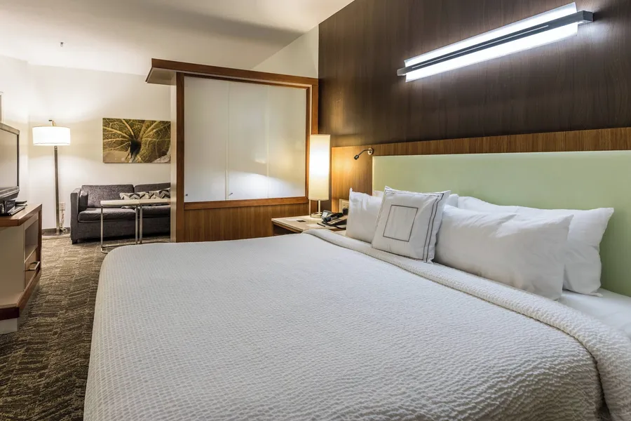 Springhill Suites Statesboro University Area hotel detail image 6