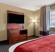 Comfort Suites Delavan - Lake Geneva Area hotel detail image 5