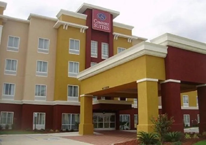 Comfort Suites near Tanger Outlet Mall hotel detail image 2
