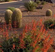 Red Mountain Resort hotel detail image 3