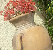 Alpine Inn And Suites hotel detail image 4