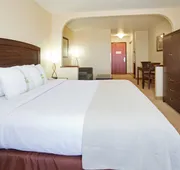 Holiday Inn Denver-Parker-E470/Parker Road by IHG hotel detail image 7