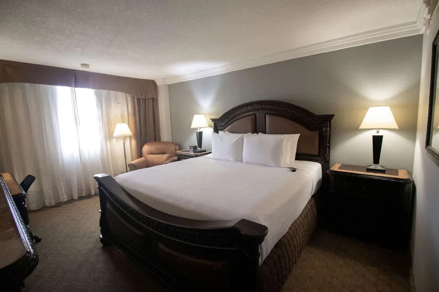 Wyndham Houston near NRG Park/Medical Center hotel detail image 6
