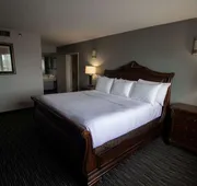 Wyndham Houston near NRG Park/Medical Center hotel detail image 7