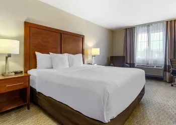 Comfort Inn Tacoma hotel thumbnail 8