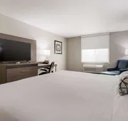 Best Western NSU Inn hotel detail image 4