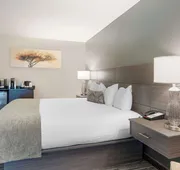 Best Western Plus City Center hotel detail image 5