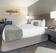 Best Western Plus City Center hotel detail image 7