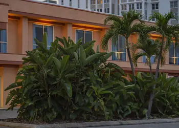 Dolphin Beach Resort hotel thumbnail 8