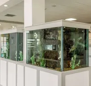 Hilton Garden Inn Outer Banks/Kitty Hawk hotel detail image 7