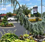 Quality Inn Vineland hotel detail image 7