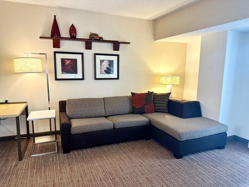 Residence Inn By Marriott Minneapolis Downtown hotel detail image 2