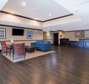 Comfort Inn & Suites Maingate South hotel detail image 4