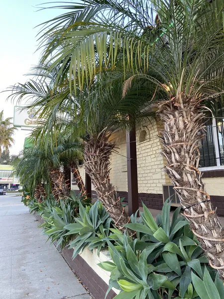 El Patio Inn - Near Universal Studios Hollywood hotel detail image 2