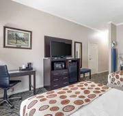 Best Western Spring Hill Inn & Suites hotel detail image 5