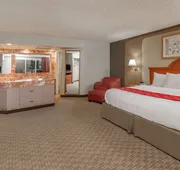 Ramada by Wyndham Odessa Near University of Texas Permian hotel detail image 4
