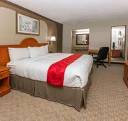 Ramada by Wyndham Odessa Near University of Texas Permian hotel detail image 7