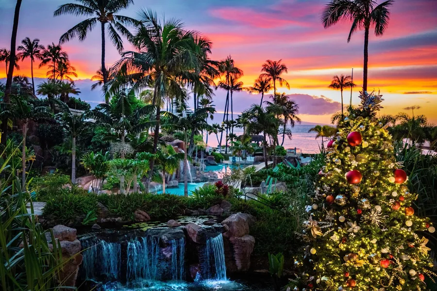 The Westin Maui Resort & Spa, Ka'anapali hotel detail image 6