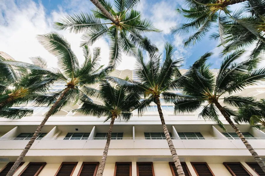 Hilton Vacation Club The Modern Honolulu hotel detail image 6