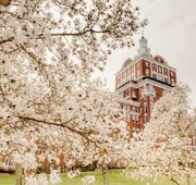 The Omni Homestead Resort & Spa hotel detail image 4