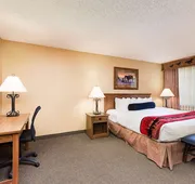 Best Western Plus Kelly Inn & Suites hotel detail image 4