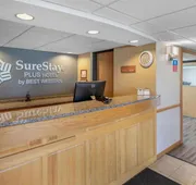 SureStay Plus Hotel by Best Western Litchfield hotel detail image 3