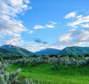 Aspen Meadows Resort hotel detail image 7