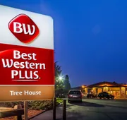 Best Western Plus Tree House hotel detail image 3