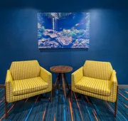 Hampton Inn & Suites Hopkinsville hotel detail image 4