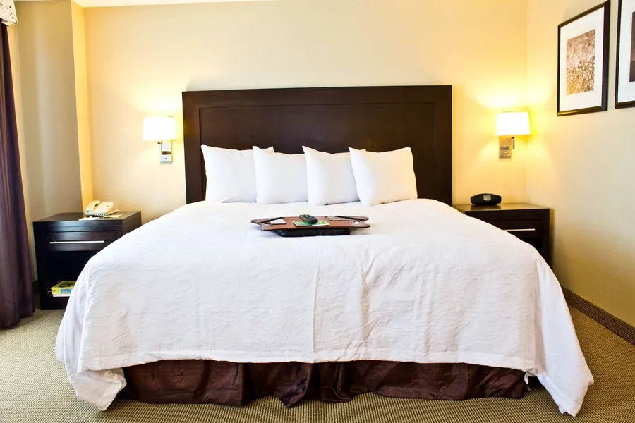 Hampton Inn & Suites Boston Crosstown Center hotel detail image 6