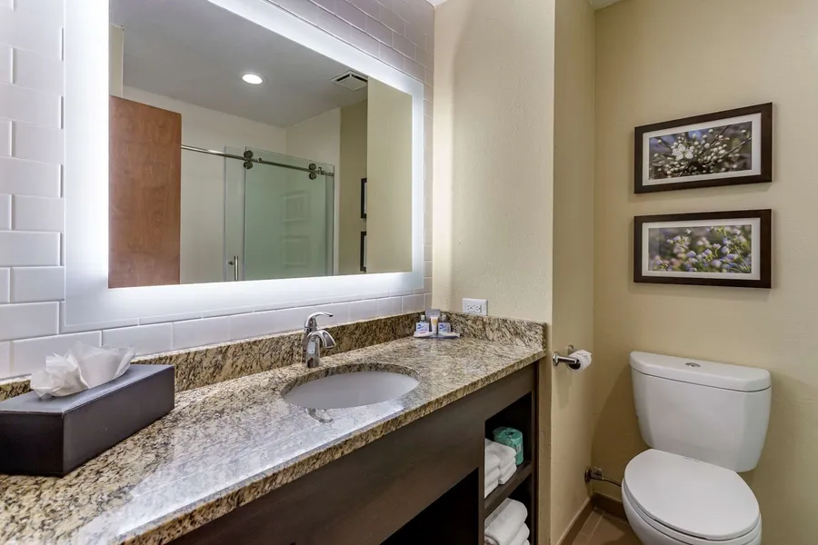 Comfort Inn St. Robert / Fort Leonard Wood hotel detail image 6