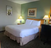 Tulip Inn hotel detail image 4