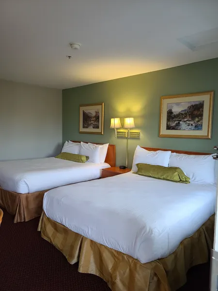 Tulip Inn hotel detail image 6