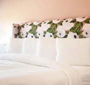 Bella Vista Hotel & Suites hotel detail image 4