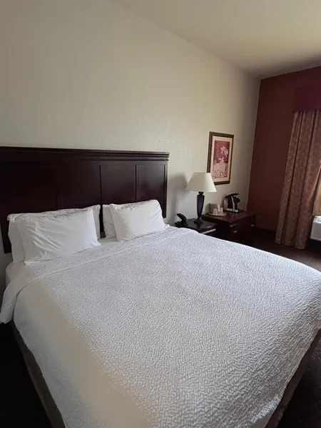 Country Inn & Suites by Radisson, Terrell hotel detail image 6