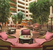 Embassy Suites by Hilton at Hot Springs Convention Center hotel detail image 3