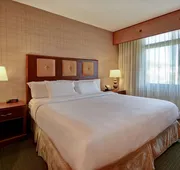 Embassy Suites by Hilton at Hot Springs Convention Center hotel detail image 7