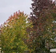 Holiday Inn Victoria Elk Lake by IHG hotel detail image 4
