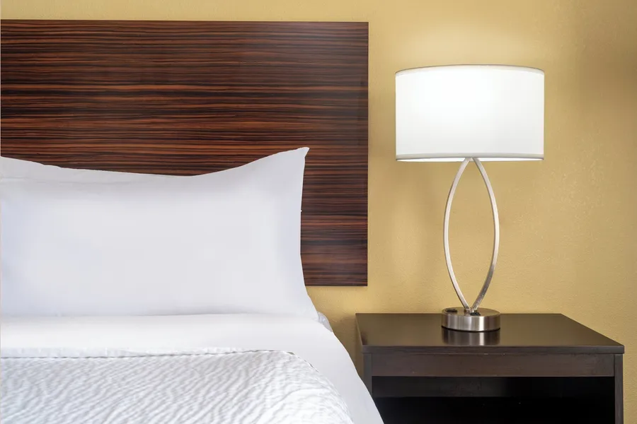 Garner Hotel Birch Run Frankenmuth Area by IHG hotel detail image 6