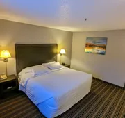 Woodfield Inn and Suites hotel detail image 7