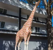 Hilton Garden Inn Davis Downtown hotel detail image 5