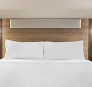 Holiday Inn Express & Suites Greenville - Downtown by IHG hotel detail image 3