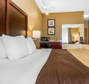 Comfort Inn & Suites Mishawaka - South Bend hotel detail image 5