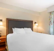 Best Western Plus University Park Inn & Suites hotel detail image 7